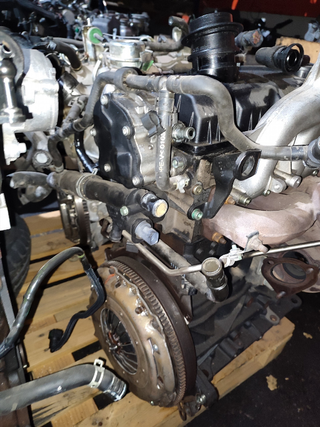 MOTOR COMPLETO SEAT LEON (1M1) Signo | 11.99 - 12