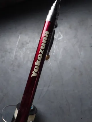 Set di pesca con canne, mulinelli e accessori