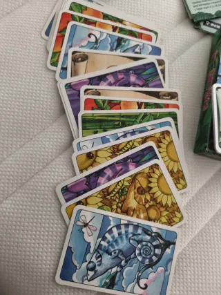 Coloretto, juego de mesa de cartas