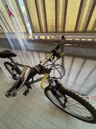 Bicicleta