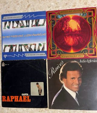 Lote Vinilos Pop Rock Internacional