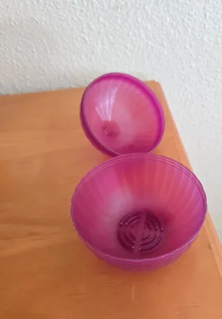 Conservador de cebolla para frigorífico