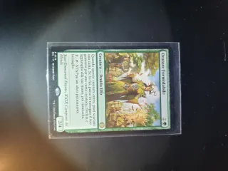 Oratore Formidabile - Magic The Gathering