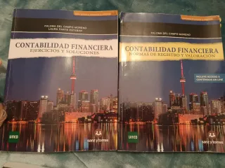 Contabilidad Financiera: Normas de Registro y V...