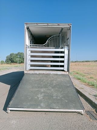 Renault Premium 340 Camión Caballos 8C