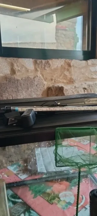 Pecera/Acuario Negro y Transparente