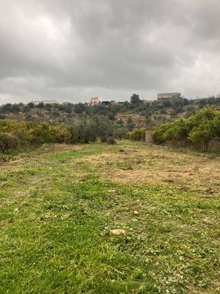 Limpieza de terrenos . Desbrozado, poda de arboles