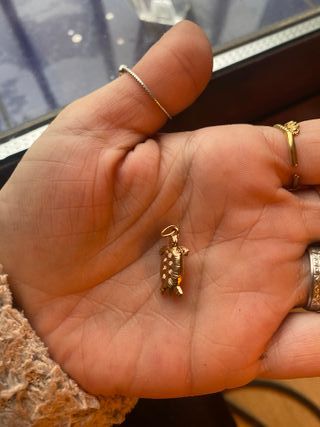 Colgante tortuga oro bajo