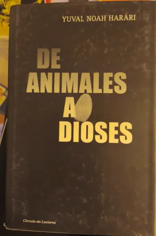 Lote de todos los libros (19)