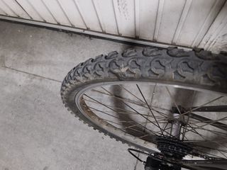 Bicicleta de montaña Homester