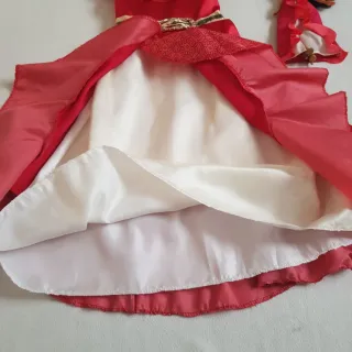 Disfraz vestido princesa Elena de Ávalor Disney 7