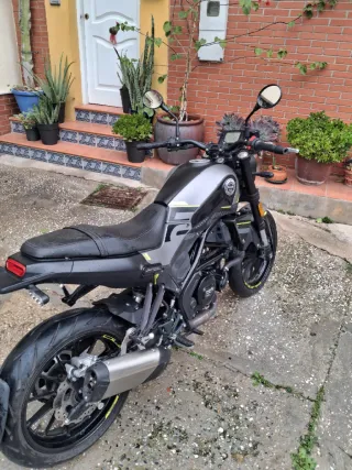 Benelli Leoncino 250cc Gris/Amarillo
