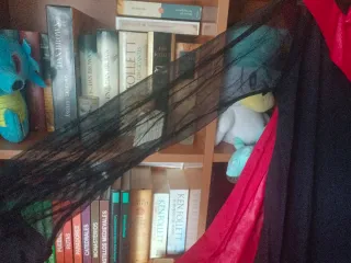 Disfraz Vampira con Alas Talla Única