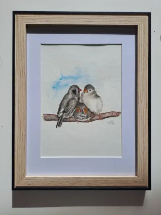 Acquerello originale uccellini, con cornice