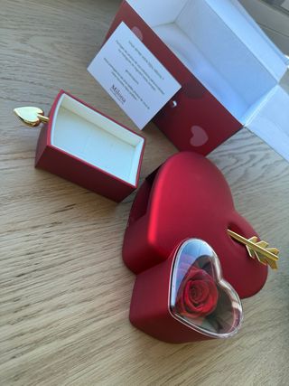 Joyero Corazón Flor Eterna + Pendientes