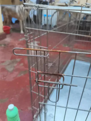 Jaula grande perro metálica 83x122x73