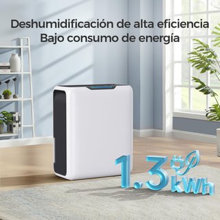 Deumidificatore 3000ML Deumidificatori per Umidità