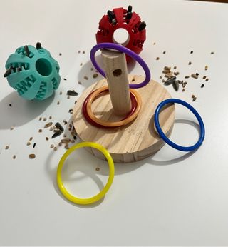 Pack Entretenimiento para Pájaros (Forrajeo + In