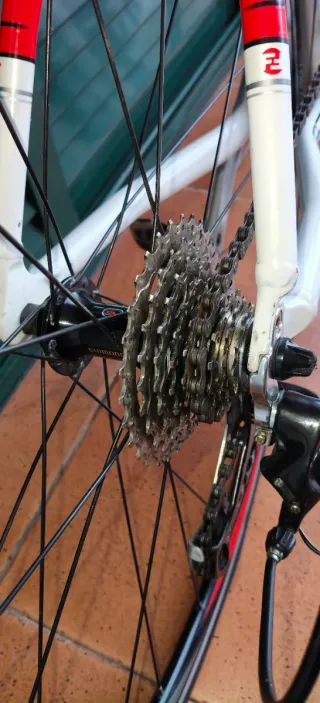 Bicicleta de carretera Focus Roja