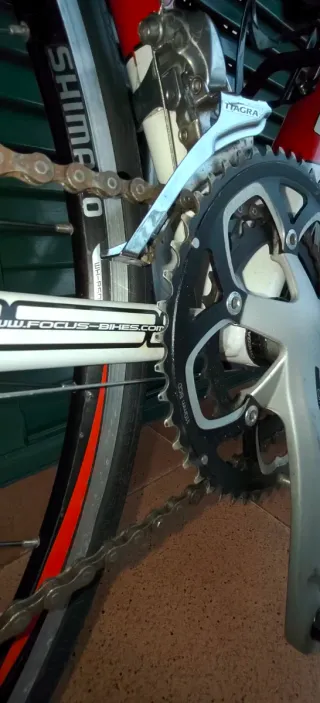 Bicicleta de carretera Focus Roja