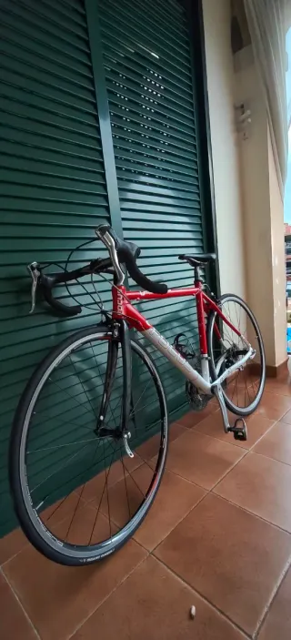 Bicicleta de carretera Focus Roja