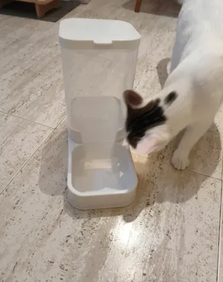 Comedero gato/perro pequeño