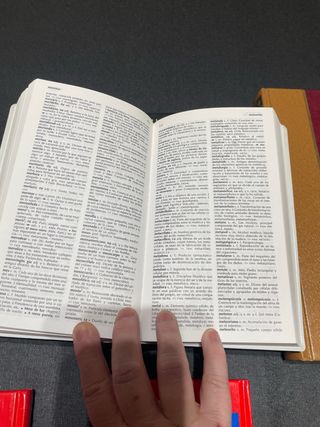 Diccionarios en español - conjunto 2 euros