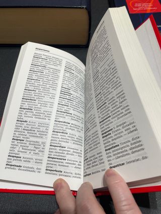 Diccionarios en español - conjunto 2 euros