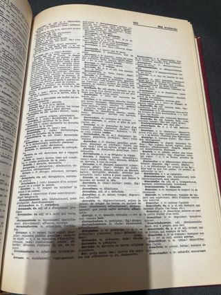 Diccionarios en español - conjunto 2 euros