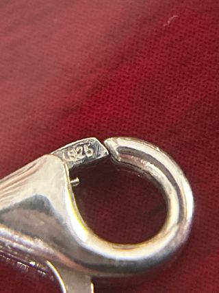 Pulsera Plata con Dijes Varios