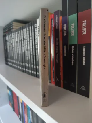 William S. Burroughs - El Almuerzo Desnudo