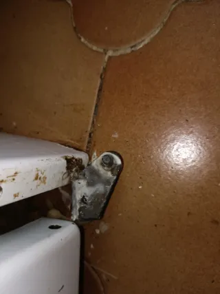 Cocina y horno de gas Lynx