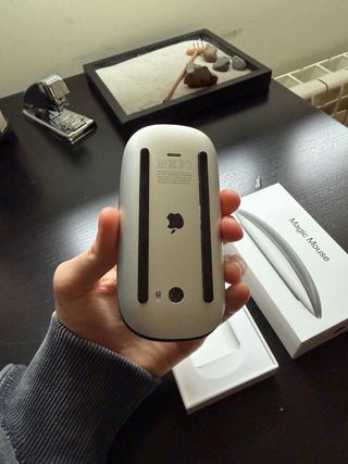 Apple Magic Mouse Negro