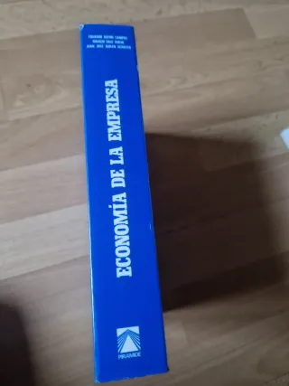 Economía de la empresa: Análisis de las decisio...