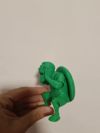 Figura Maestro Roshi 3D