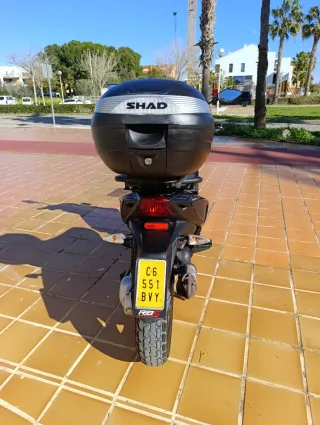 Piaggio Typhoon 50cc 2016