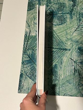 Monsieur Cuisine Connect sinceridad a tope