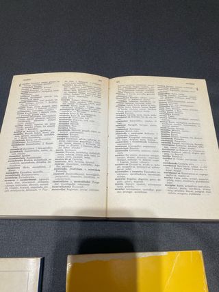 Diccionaris en català - conjunto 2 euros