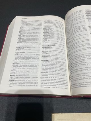 Diccionaris en català - conjunto 2 euros