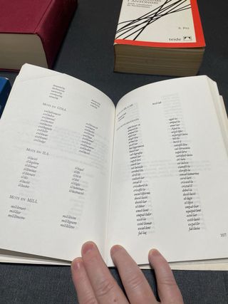 Diccionaris en català - conjunto 2 euros