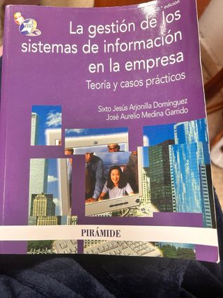 Gestion de los sistemas de información en la empre