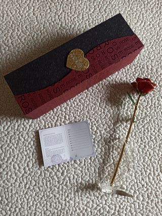 Set San Valentino Peluche Elefante Cuori