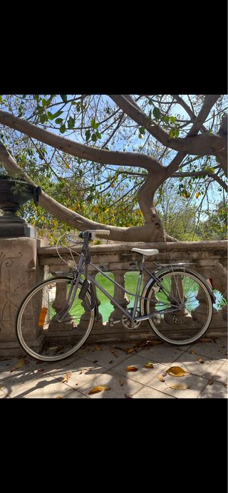 Bicicleta Peugeot Vintage Ciudad
