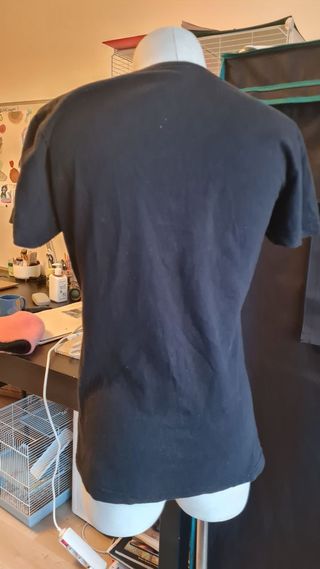 Lote 3 Camisetas: BERSHKA + ZARA Kids