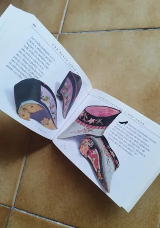 Libro sobre zapatos