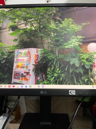 Monitor 360• LG 24BK550Y-B 75Hz Nuevo