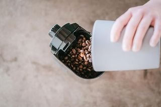 Melitta Molino 1019-02 Molinillo de café eléctrico