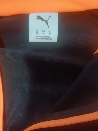 Conjunto Puma Runner Pantalón y Sudadera