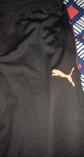 Conjunto Puma Runner Pantalón y Sudadera
