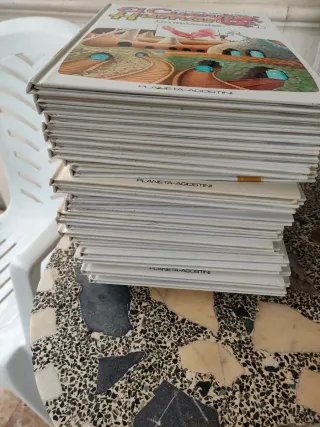 Colección completa libros erase una vez el cuerpo